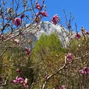 Post vom 26.04.2026 18:39 - Der Frühling zeigt sich in Leogang gerade von seiner schönsten Seite und wir sin