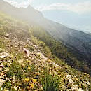 Post vom 12.07.2026 22:29 - Eine wunderschöne Wanderung in den Leoganger Steinbergen - über Ullach auf die P